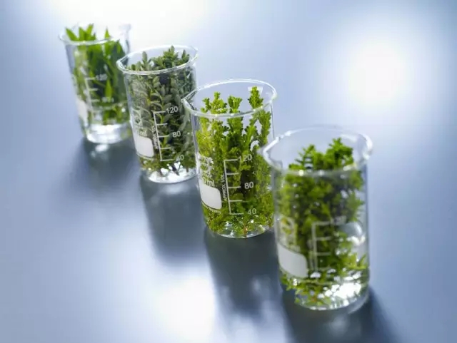 <a href='http://www.92bbaa.com' class='keys' title='點(diǎn)擊查看關(guān)于涂料助劑的相關(guān)信息' target='_blank'>涂料助劑</a>,迪高助劑